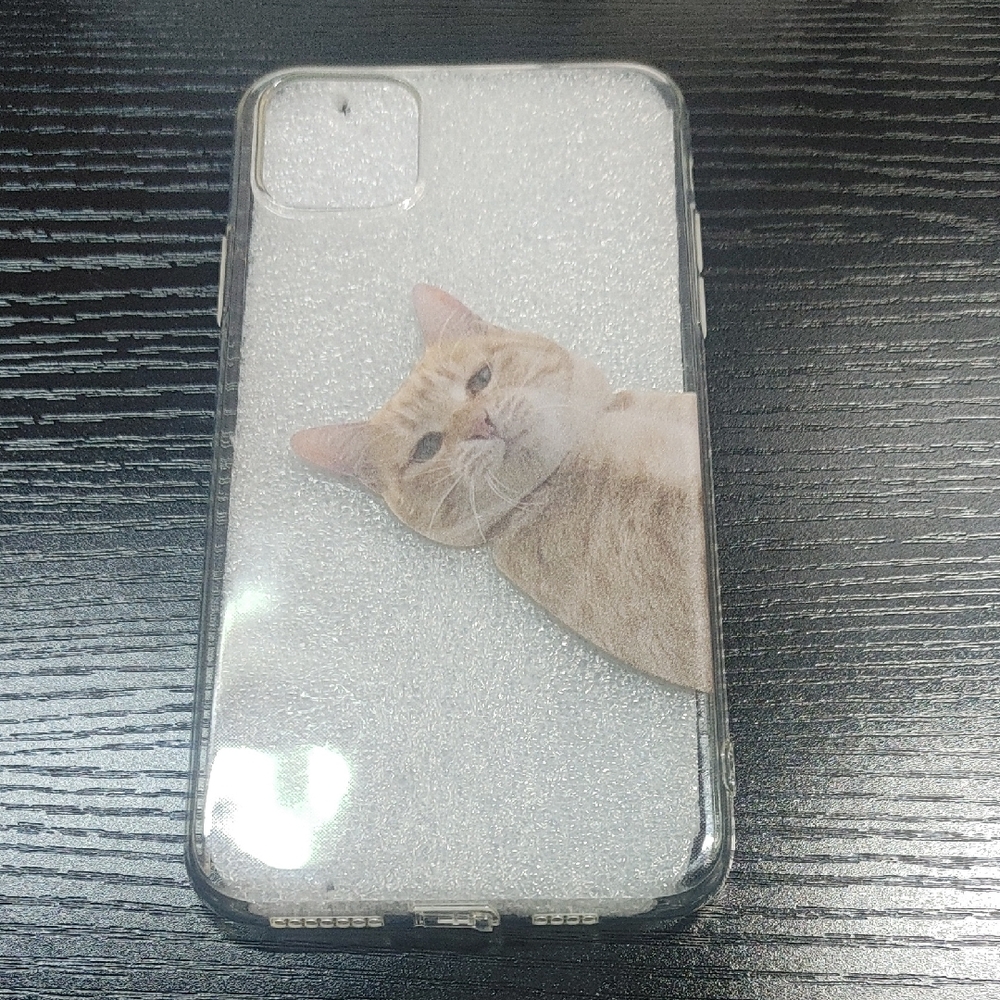 iPhone 11 Pro Max Case Orange Cat Meme - Clear Protective Case